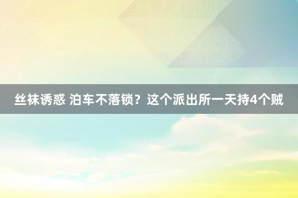 丝袜诱惑 泊车不落锁？这个派出所一天持4个贼