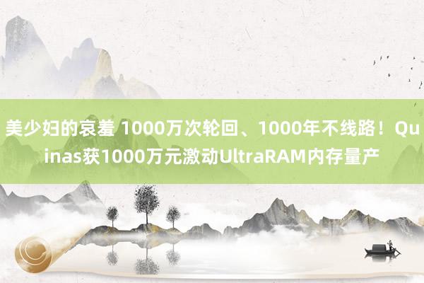 美少妇的哀羞 1000万次轮回、1000年不线路！Quinas获1000万元激动UltraRAM内存量产