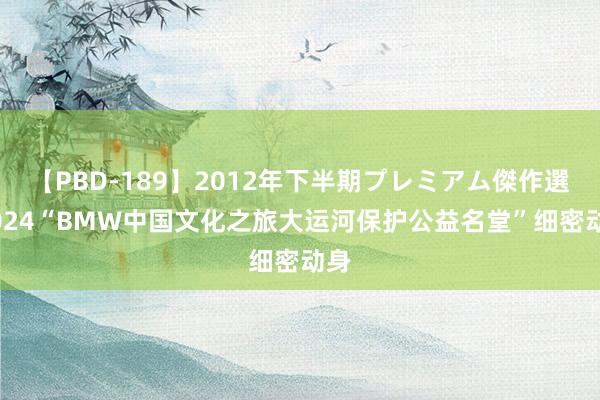 【PBD-189】2012年下半期プレミアム傑作選 2024“BMW中国文化之旅大运河保护公益名堂”细密动身