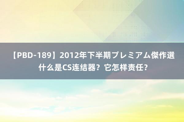 【PBD-189】2012年下半期プレミアム傑作選 什么是CS连结器？它怎样责任？