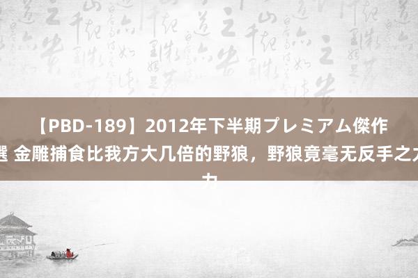 【PBD-189】2012年下半期プレミアム傑作選 金雕捕食比我方大几倍的野狼，野狼竟毫无反手之力