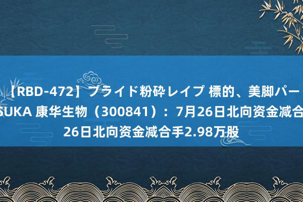 【RBD-472】プライド粉砕レイプ 標的、美脚パーツモデル ASUKA 康华生物（300841）：7月26日北向资金减合手2.98万股