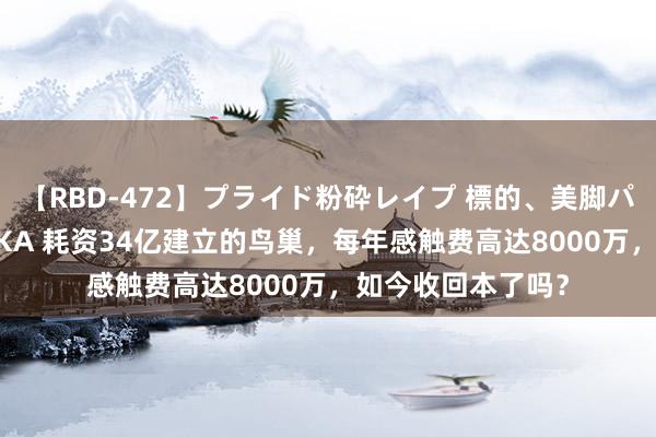 【RBD-472】プライド粉砕レイプ 標的、美脚パーツモデル ASUKA 耗资34亿建立的鸟巢，每年感触费高达8000万，如今收回本了吗？