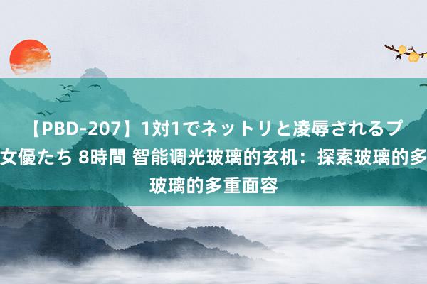 【PBD-207】1対1でネットリと凌辱されるプレミア女優たち 8時間 智能调光玻璃的玄机：探索玻璃的多重面容