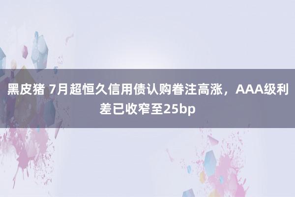 黑皮猪 7月超恒久信用债认购眷注高涨，AAA级利差已收窄至25bp