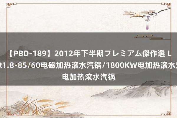 【PBD-189】2012年下半期プレミアム傑作選 LDCR1.8-85/60电磁加热滚水汽锅/1800KW电加热滚水汽锅