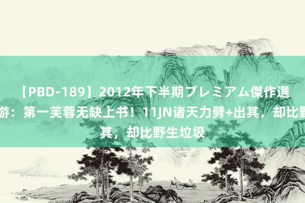 【PBD-189】2012年下半期プレミアム傑作選 梦乡西游：第一芙蓉无缺上书！11JN诸天力劈+出其，却比野生垃圾