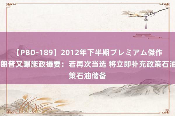 【PBD-189】2012年下半期プレミアム傑作選 特朗普又曝施政撮要：若再次当选 将立即补充政策石油储备