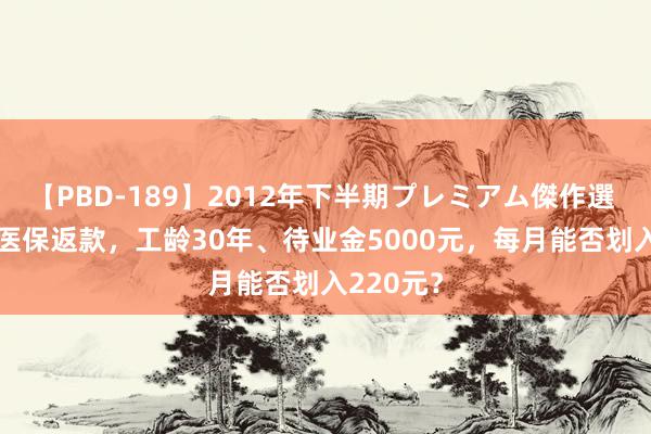 【PBD-189】2012年下半期プレミアム傑作選 2024年医保返款，工龄30年、待业金5000元，每月能否划入220元？