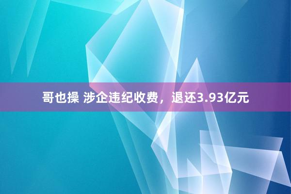 哥也操 涉企违纪收费，退还3.93亿元