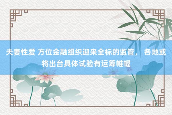 夫妻性爱 方位金融组织迎来全标的监管， 各地或将出台具体试验有运筹帷幄