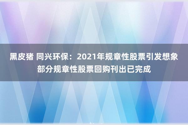 黑皮猪 同兴环保：2021年规章性股票引发想象部分规章性股票回购刊出已完成