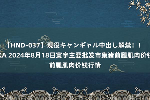 【HND-037】現役キャンギャル中出し解禁！！ ASUKA 2024年8月18日寰宇主要批发市集猪前腿肌肉价钱行情