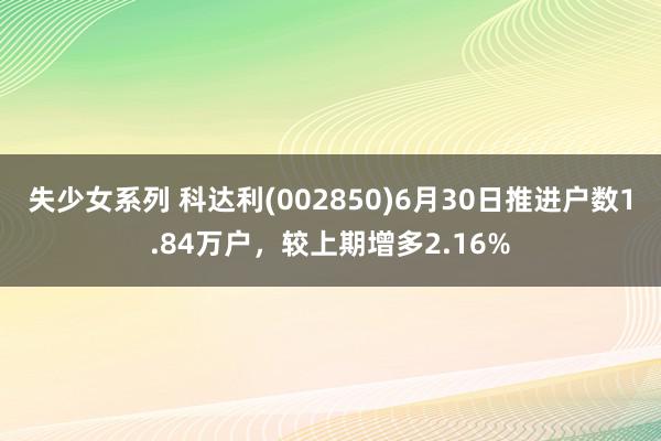 失少女系列 科达利(002850)6月30日推进户数1.84万户，较上期增多2.16%