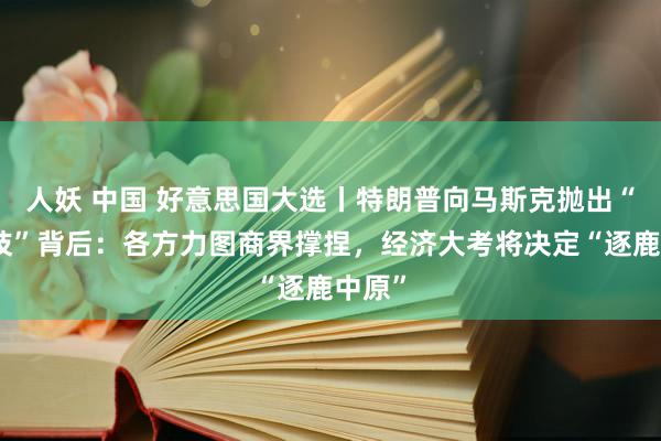 人妖 中国 好意思国大选丨特朗普向马斯克抛出“橄榄枝”背后：各方力图商界撑捏，经济大考将决定“逐鹿中原”