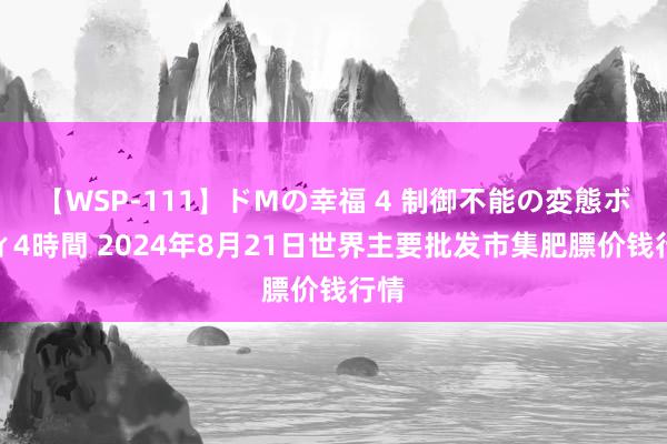 【WSP-111】ドMの幸福 4 制御不能の変態ボディ4時間 2024年8月21日世界主要批发市集肥膘价钱行情