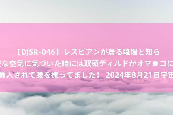 【DJSR-046】レズビアンが居る職場と知らずに来た私（ノンケ） 変な空気に気づいた時には双頭ディルドがオマ●コに挿入されて腰を振ってました！ 2024年8月21日宇宙主要批发商场肉蟹价钱行情