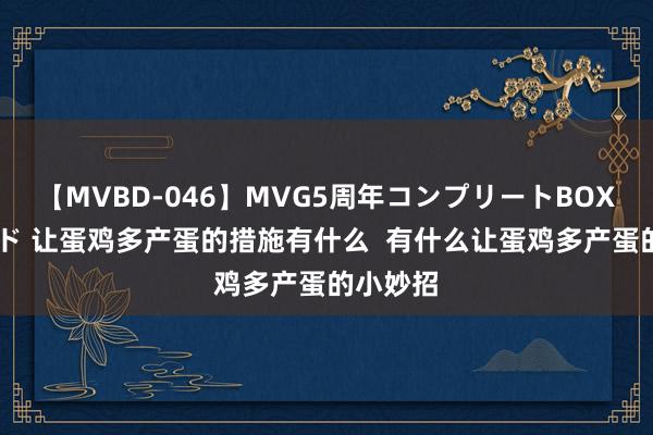 【MVBD-046】MVG5周年コンプリートBOX ゴールド 让蛋鸡多产蛋的措施有什么  有什么让蛋鸡多产蛋的小妙招