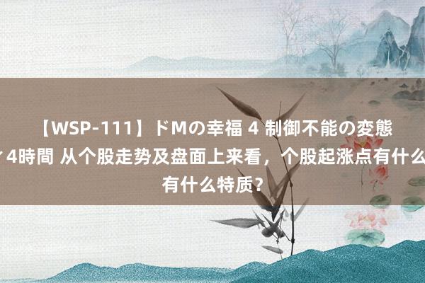 【WSP-111】ドMの幸福 4 制御不能の変態ボディ4時間 从个股走势及盘面上来看，个股起涨点有什么特质？